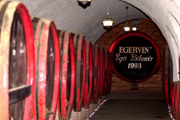 Vínna pivnica s ochutnávkou vín