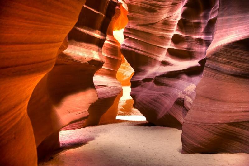 Canyon Antelope, USA