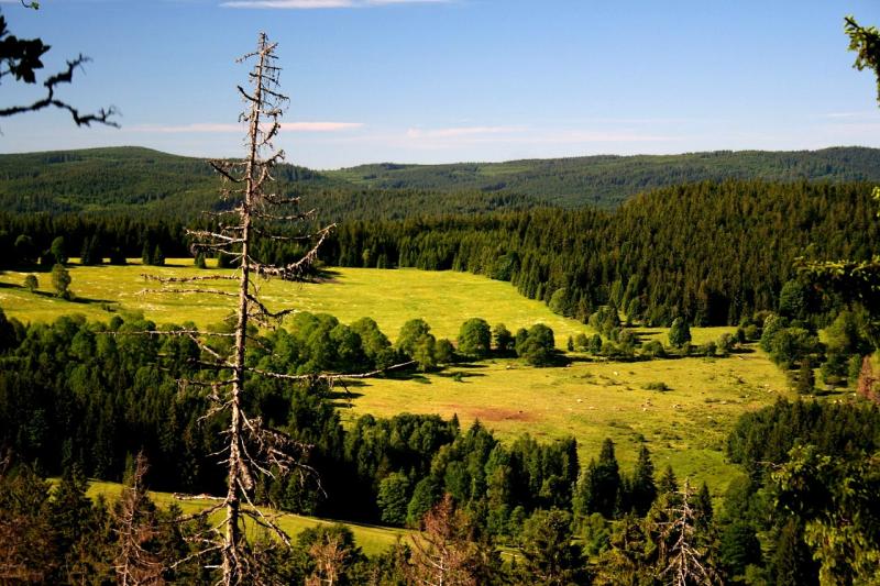 Národný park šumava v česku