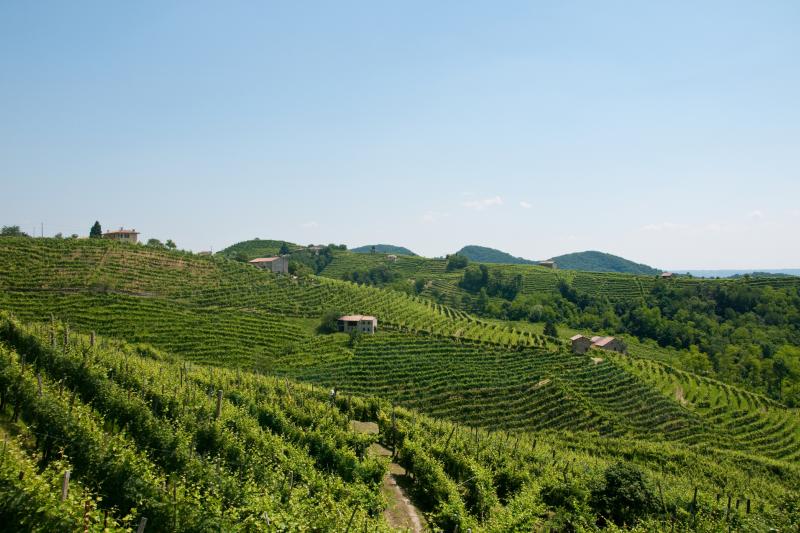 Valdobbiadene