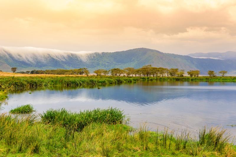 Ngorongoro