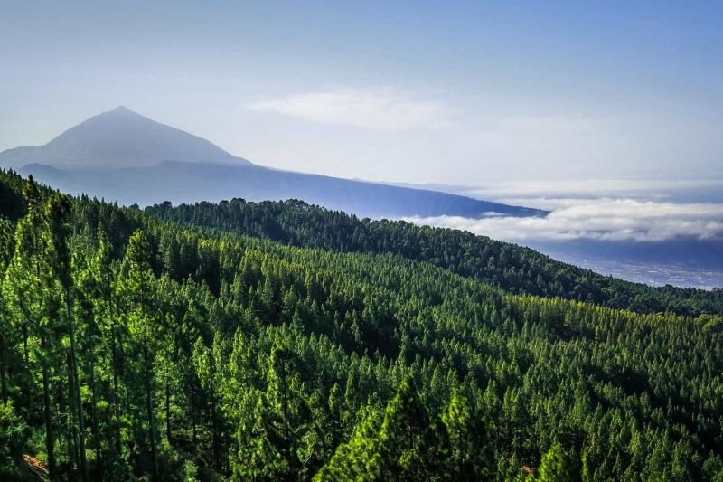 Tenerife