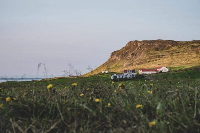 Borgarfjörður. Island