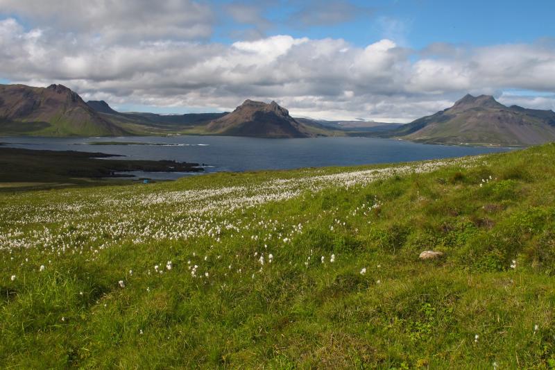 Hrútafjörður. Island