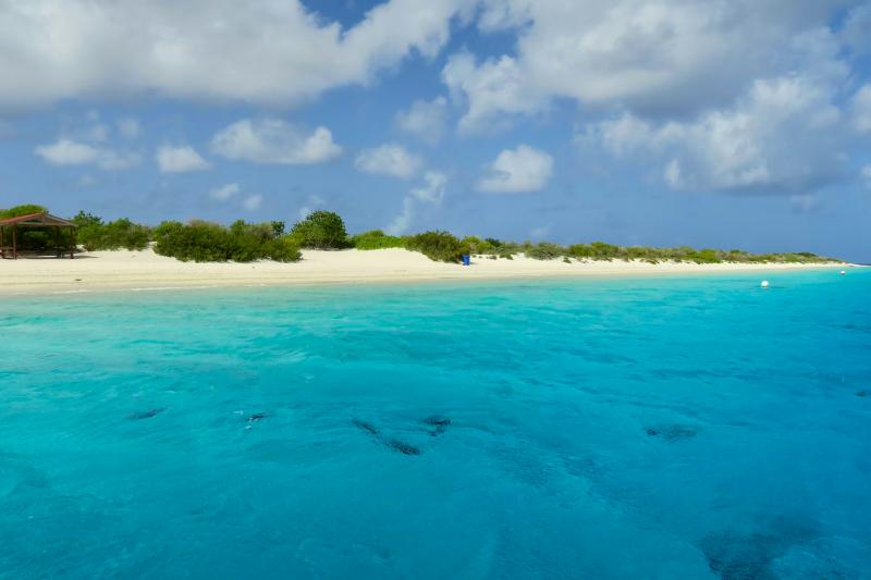 Krásne tyrkysové more v kontraste s bielym pieskom a zelenými kríkmi. Bonaire