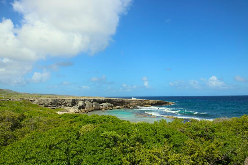 Zelené kríky, vápencové morské pobrežie v NP Shete Boka. Curacao