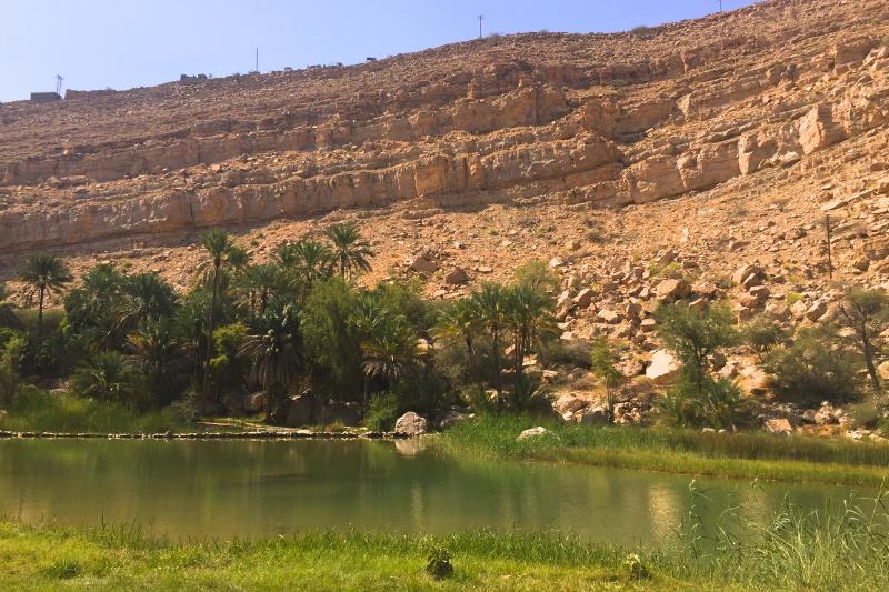 Sladkovodné jazero, palmy a skalný masív vo Wadi Bani Khalid, Omán