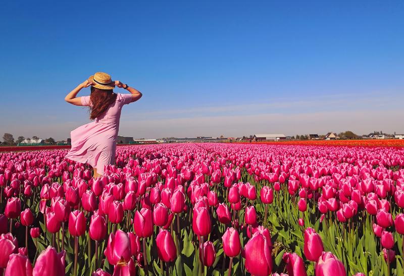 Najkrajšie tulipány, najlepšie syry a najpestrejšia jazda na bicykli