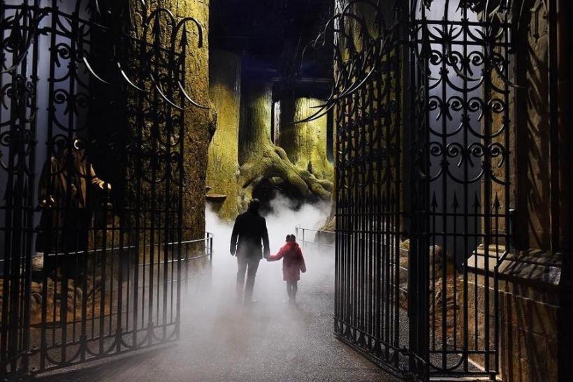 Nová atrakcia pre fanúšikov Harryho Pottera: Budete mať odvahu na Zakázaný les?