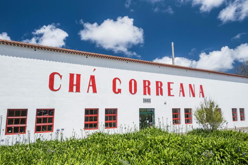 Továreň na čaj Gorreana na Azorských ostrovoch.
