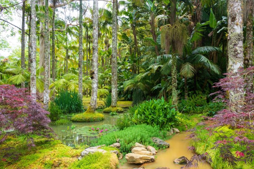 Exotická záhrada v Terra Nostra na Azoroch.
