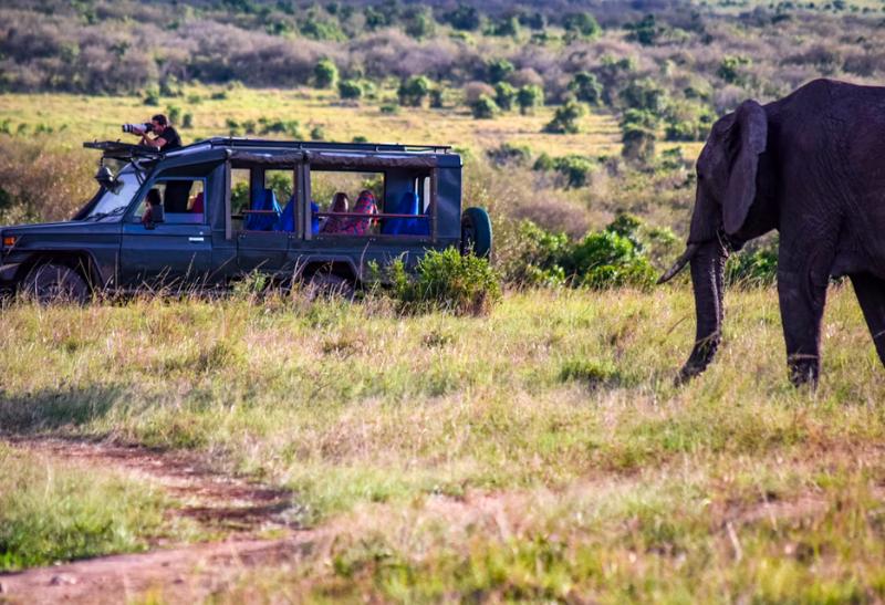 Skupina turistov počas safari na džípe a slon.
