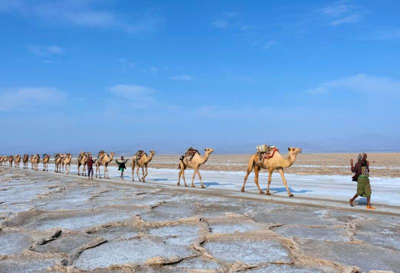 Karavána tiav v Etiópii.