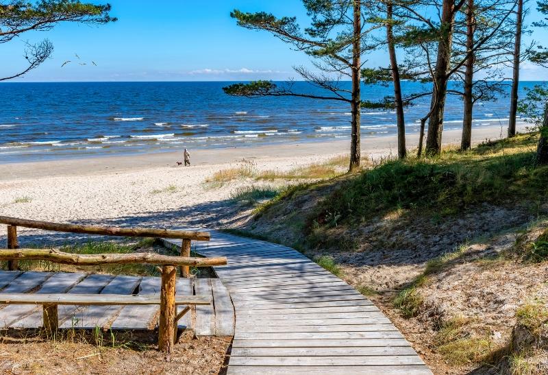 Piesková pláž a stromy v Jūrmale.