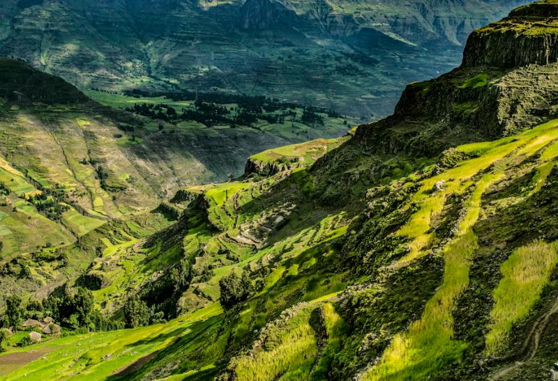 Etiópske zelené hroy.