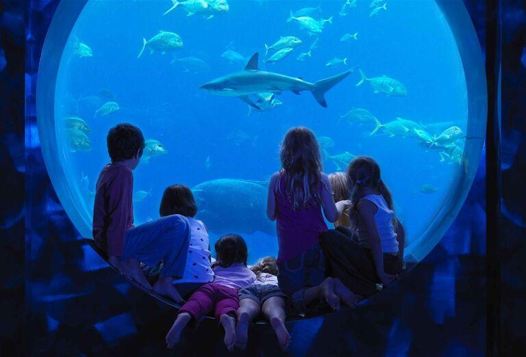 Dubai Aquarium