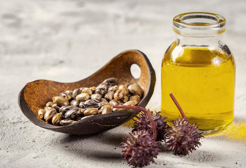 Ricínové bôby a olej.