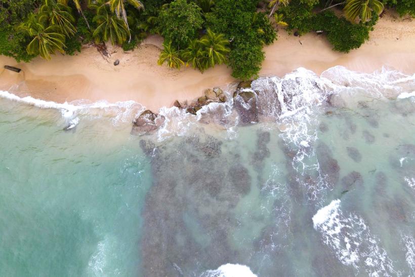 Puerto Viejo s pieskovou plážou a zeleň.