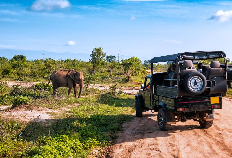 Slon a džíp s ľudmi na safari v Afrike.