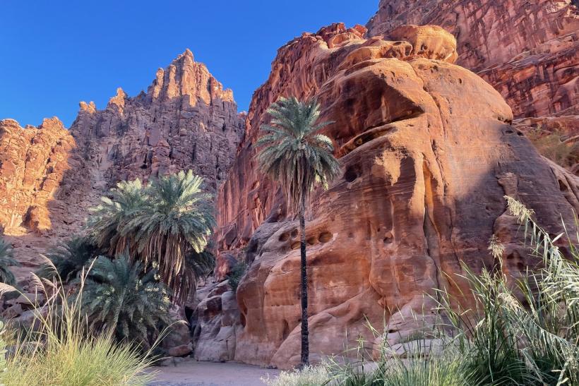 Údolie Dissah s palmami a pieskovcovými horami.