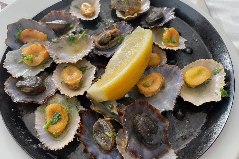 Morské mušle, ako madeirská špecialita.