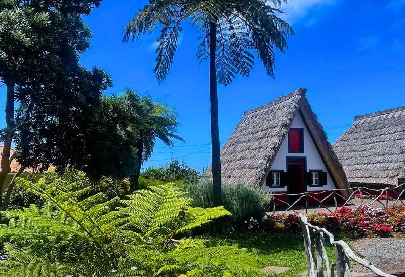 Zelená záhrada s kvetmi a domček v Santane.