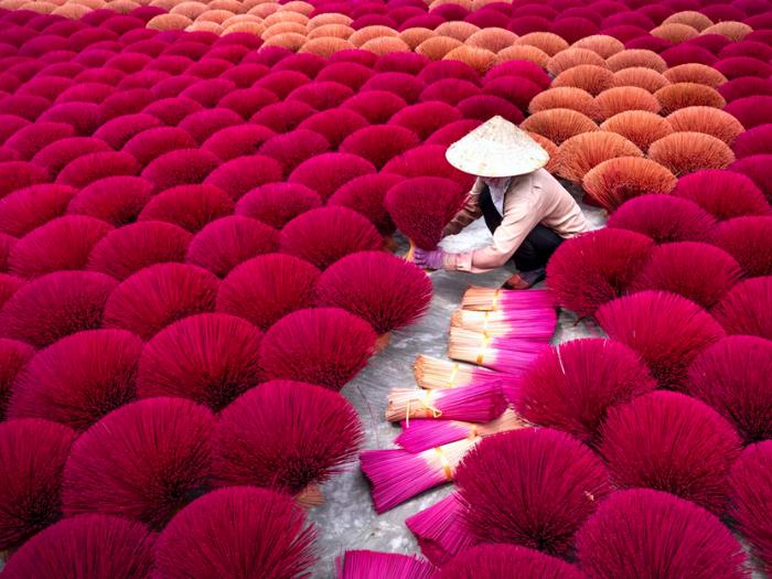 Vietnamská žena ukladá ružové vonné tyčinky.