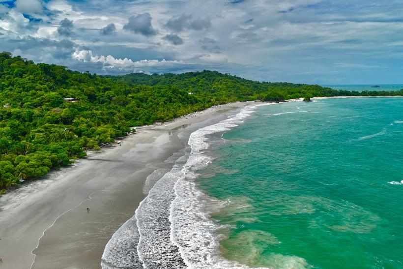 More a zelen v parku Manuel Antonio na Kostarike.