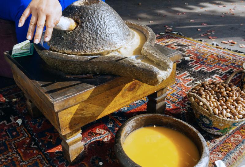 Lis na argánové plody v Maroku.