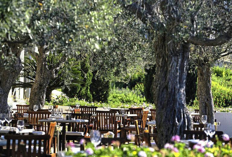 Štýlová reštaurácia pod olivami hotela Anassa na Južnom Cypre