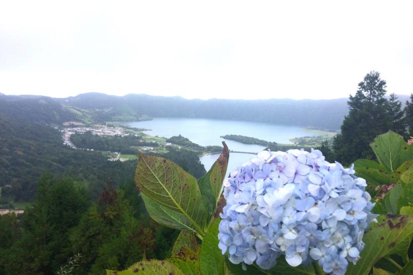 Sopečné jazerá so zelenou flórou a dve jazerá v Sete Cidades na Azorských ostrovoch.
