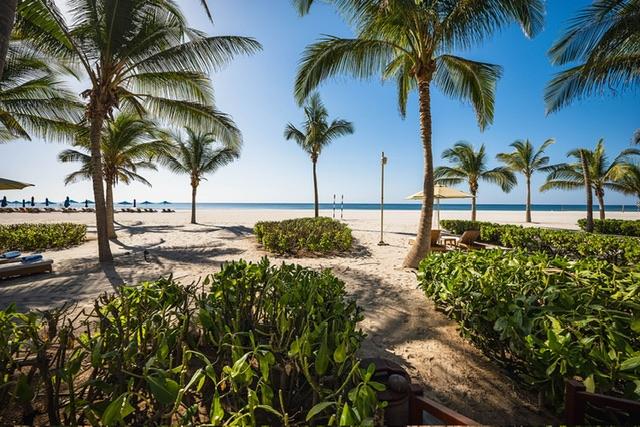 Hotelová pláž a palmy