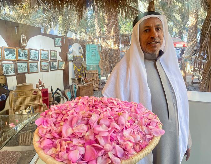 Uvítanie lupeňmi ruží v Medine. KSA