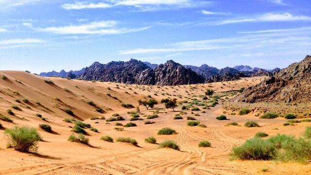Piesočnatá púšť so skalnými masívmi v pozadí a zelené nízke kríky. Saudská Arábia