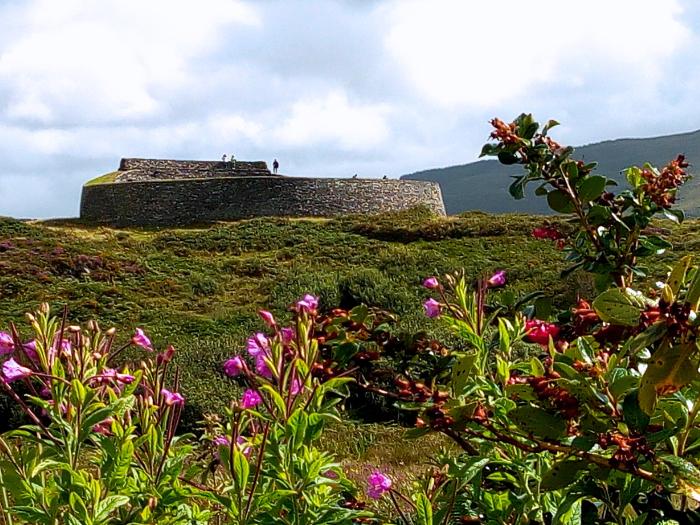 Kamenné neolitické stavby a rozkvitnuté kvety. Írsko.