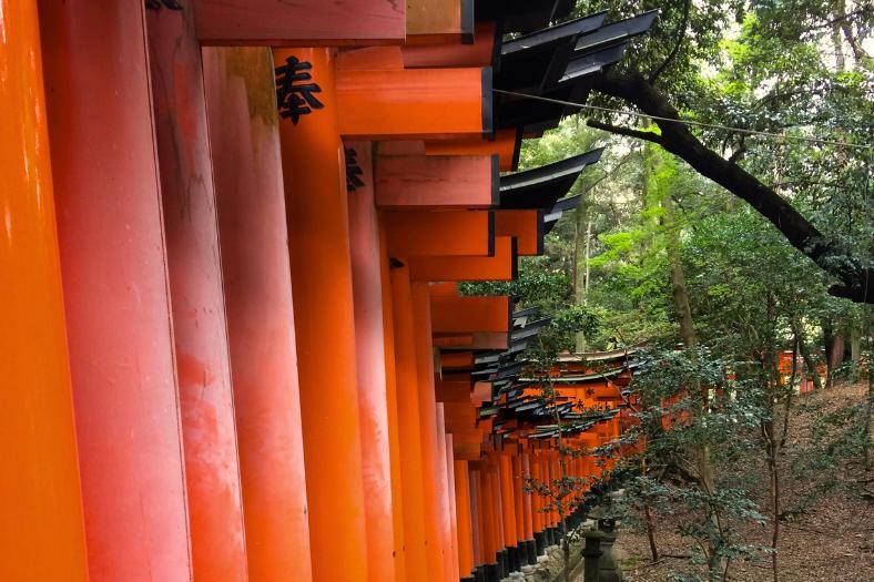 Oranžové brány vedúce po ceste ku svätyni Inari. Kjóto.