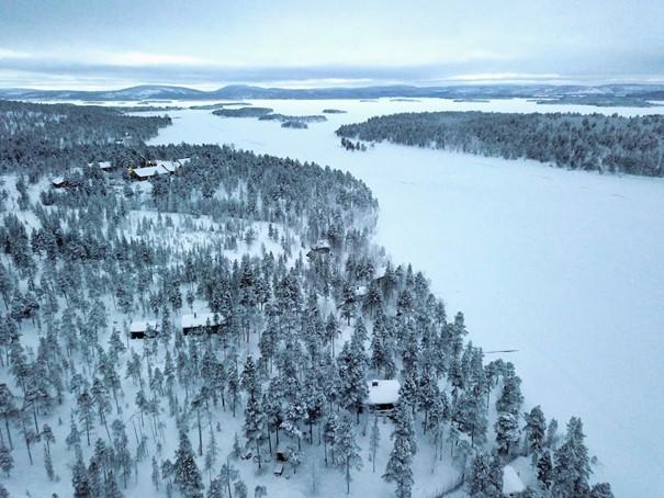 Fínska zima, les