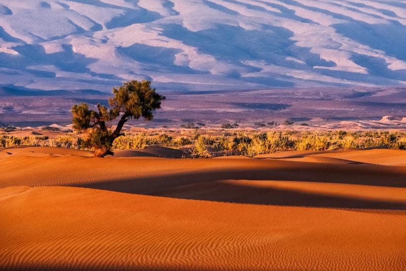 Sahara v Maroku