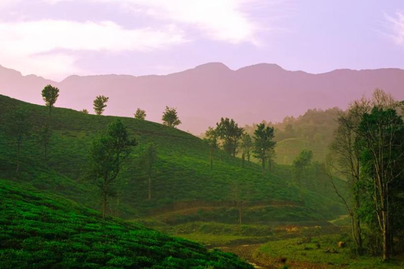 Wayanad