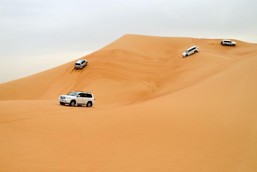 Dubai Safari