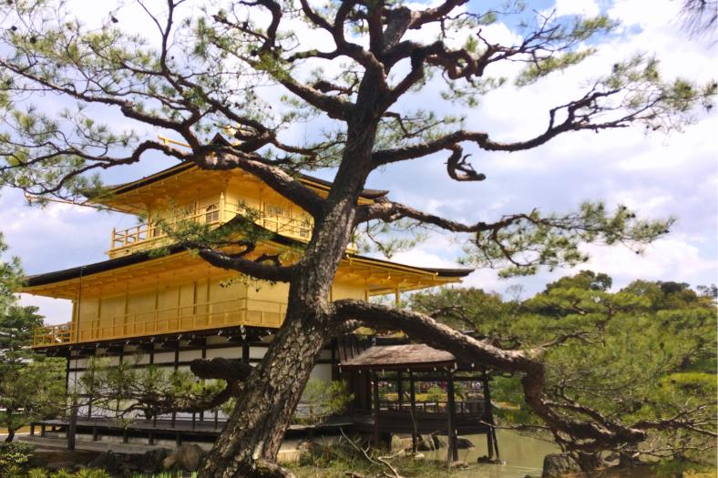Zlatý pavilón a jazero. Kjóto.