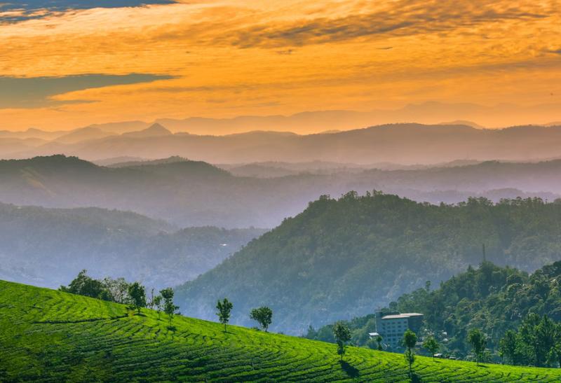 Zelený Munnar a horná stanica v Kerale.