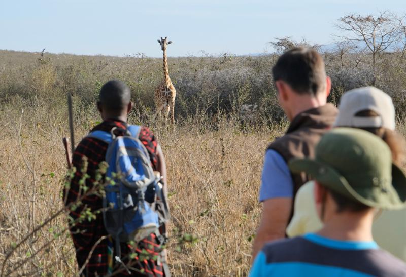Tanzánia, ľudia na safari a žirafa.