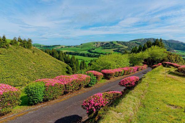 furnas