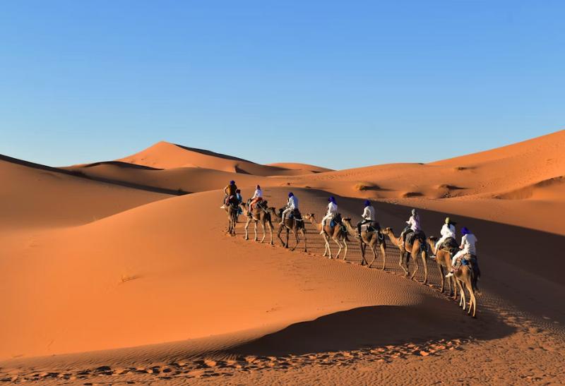 Karavana tiav na púšti Erg Chebbi v Maroku.