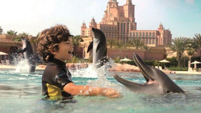 Plávanie s delfínmi v park Aquaventure. Dubaj