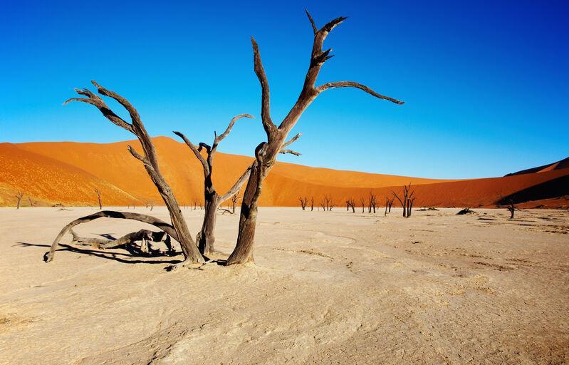 Národný park Namib-Naukluft