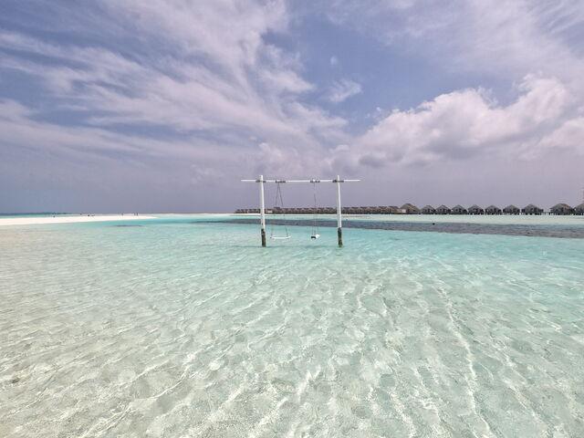 maldivy