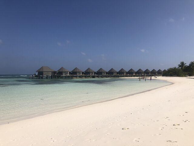 Maldivy