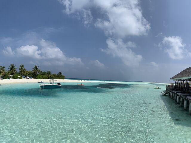 maldivy